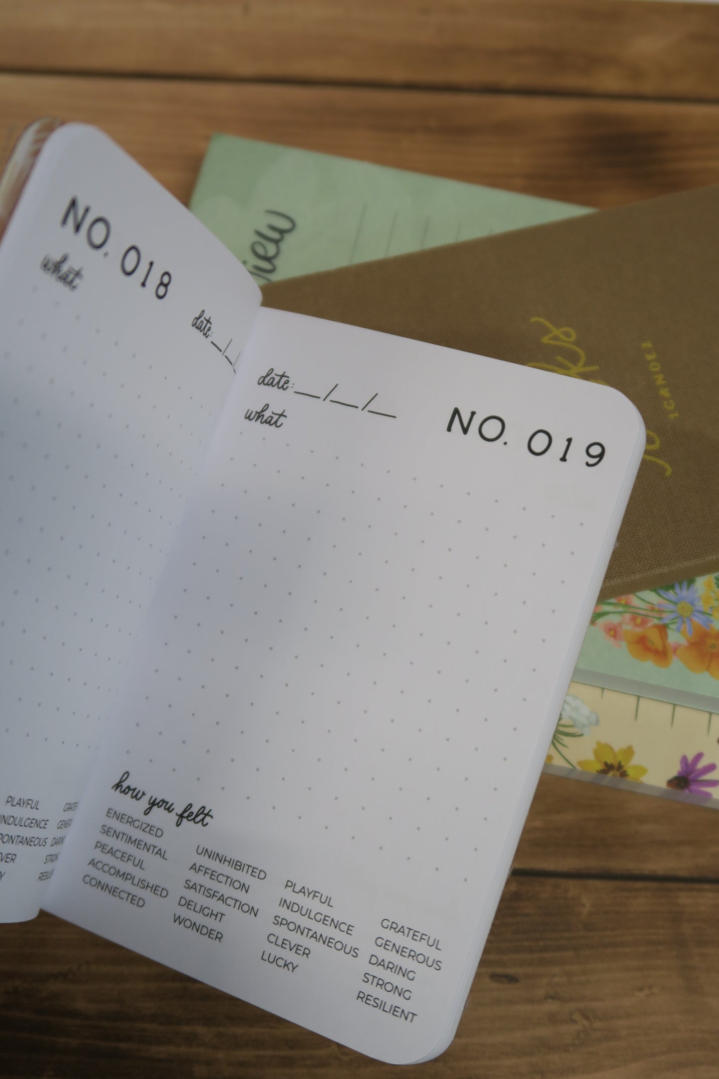 One Hundred Joys Mini Journal